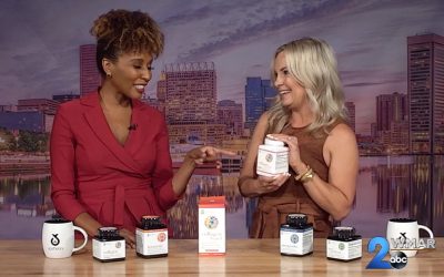 ABC Baltimore Midday Maryland